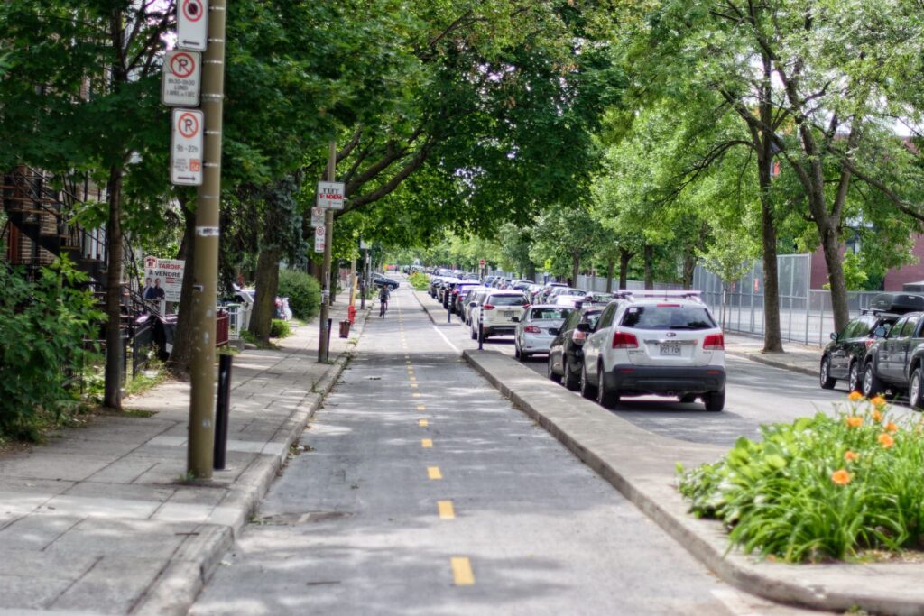 A kerb-separated cycle track running beside parked cars on a tree-lined city street