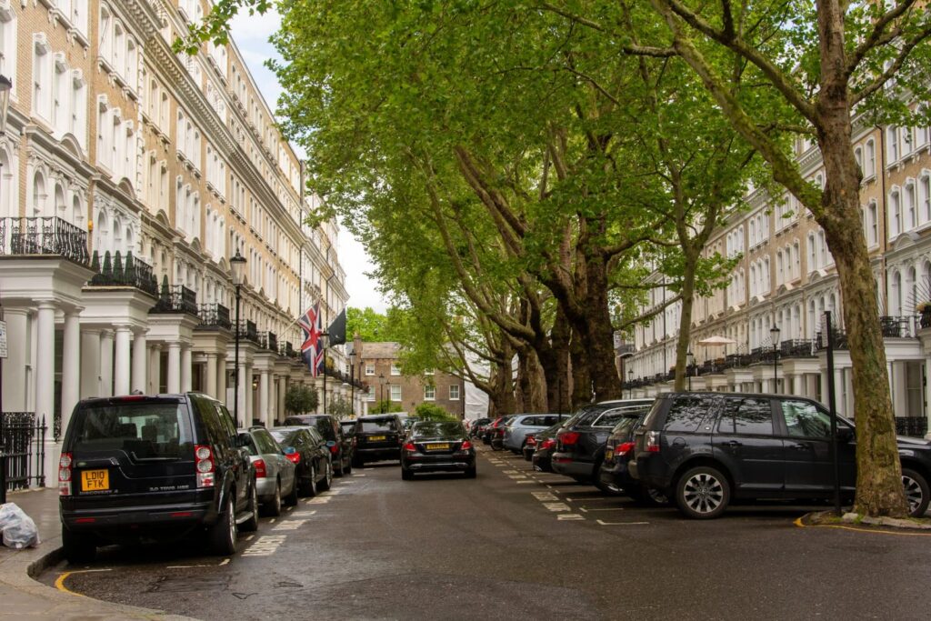 Mature London plane trees lining a residential street of white stucco terraces